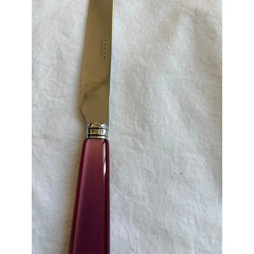 NEW Sabre Paris Icône Aubergine Purple Dinner Knife 18/10 Stainless Acrylic